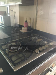 Blk 1A The Pinnacle@Duxton (Bukit Merah), HDB 5 Rooms #142900682